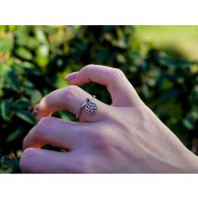 Gyűrű, élet fája