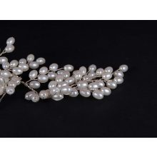 Hajdísz, gyöngyös hajtű