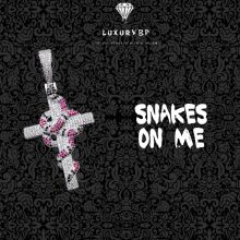 Snakes on me - Silver nemesacél nyaklánc iced out köves kereszt medállal